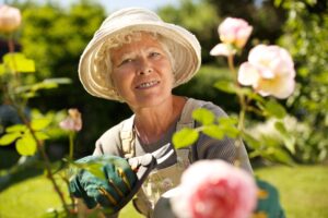 Home Care Assistance in Indian Trail, NC: Seniors and Gardening